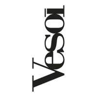 vesoi official logo - Similar company to Fabas Luce Spa Group