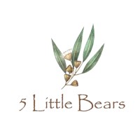 5 Little Bears logo - Similar company to Robothink Middle & East Tn