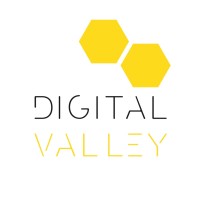 DigitalValley® logo - Similar company to Chitonext