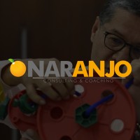 Naranjo Consulting & Coaching logo - Similar company to Epsilon Lab Sas