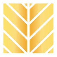 Impact Foundation logo - Similar company to Opfolio Investments