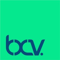 BXV Consulting logo - Similar company to Src Agency