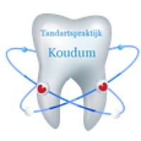 Tandartspraktijk Koudum logo - Similar company to Tandarts Praktijk Centrum