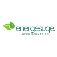 Energesque logo - Similar company to Cellonyx