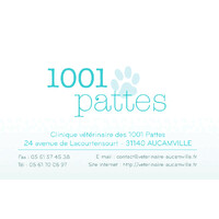 Clinique Vétérinaire 1001 Pattes Aucamville logo - Similar company to Véto Inside