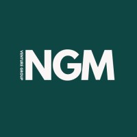 NGM Venture Group logo - Similar company to Swogo, A 1Worldsync Company