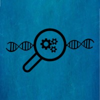 Engineering DNA logo - Similar company to Effe Technology