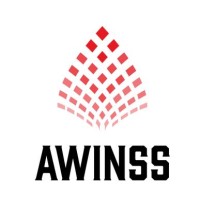 AWINSS LLC logo - Similar company to Moster Craft, P.C. Attorneys At Law