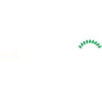 LibrariaTei logo - Similar company to Chara Software
