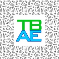 Tampa Bay Arts & Education Network logo - Similar company to Wingu Technology Llc