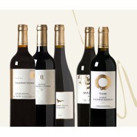 Château Fleur Haut Gaussens logo - Similar company to Maison Raynaud