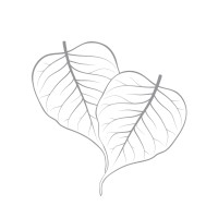 Peace Wellness Nutraceuticals, LLC logo - Similar company to Ethos Analytics