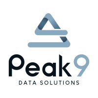 Peak9 Data Solutions logo - Similar company to Grip Lab Ai
