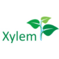 Xylem Trees logo - Similar company to Xylem Tree Care