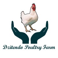 Dzitendo Poultry Farm logo - Similar company to Reliance Poultry