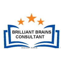 Brilliant Brains Consultant logo - Similar company to Metaeducate