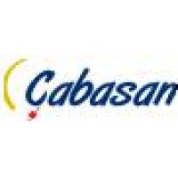 Çabasan Tekstil Boya logo - Similar company to Blc Group