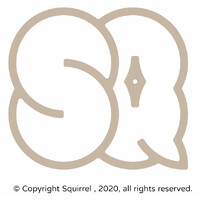 Squirrel Digital logo - Similar company to Funp Innovation Group