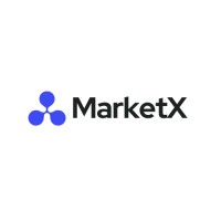 MarketX logo - Similar company to Hawk Notch