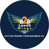 B2B Leads Wings logo - Similar company to B2B Lead Zone