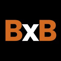 Brick X Brick logo - Similar company to Translucent Llc