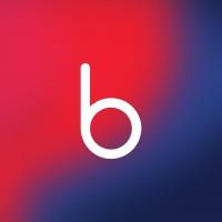 Boolean Review & Automation logo - Similar company to Zaions