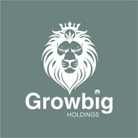 Growbig Holdings logo - Similar company to Software For You Cc