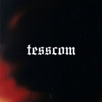 Tesscom logo - Similar company to Vinicio Adivisory