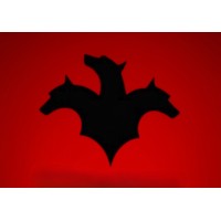Cerberus Consulting SF logo - Similar company to Advanture Group