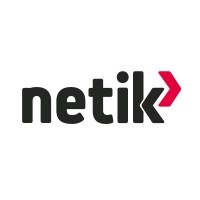 Netik Maroc - AlizNet Group logo - Similar company to Aliznet