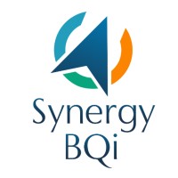 Synergy BQi logo - Similar company to Cyhpher Netmedia Inc.