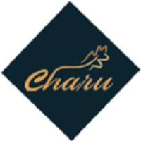 Charu Fashions logo - Similar company to Saris And Things, Inc.