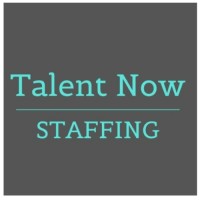 Talent Now Staffing logo - Similar company to Proactive Approach