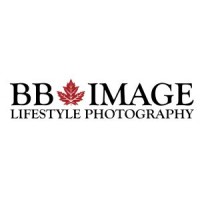 BB Image logo - Similar company to Skye Management
