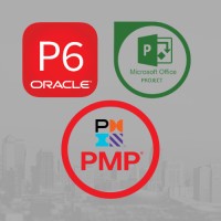 Primavera P6 & MS Project Training and Software Solutions logo - Similar company to Enabler Ms Project Elearning