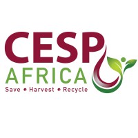 COLLABORATION ENGINEERING SOLUTIONS & PRODUCTS AFRICA logo - Similar company to Engineers Without Borders -Kenya Community