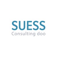 SUESS Consulting logo - Similar company to Süss Beratende Ingenieure