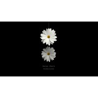 Daisy Chain Productions logo - Similar company to Pepper'S Ghost