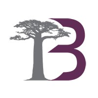 Baobab Consulting logo - Similar company to Africa Means Business
