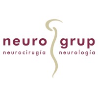 Neurogrup logo - Similar company to Sidear - Upgrading Your Business