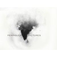 Peninsula Pictures logo - Similar company to Tutormate