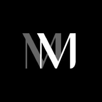 Maven Minds logo - Similar company to Blue Metric Group