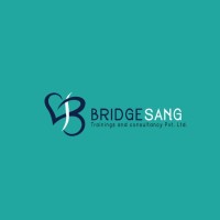 BridgeSang Trainings And Consultancy logo - Similar company to Klinikals