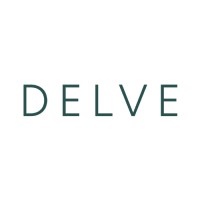 DELVE logo - Similar company to Wild Awake