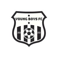 Young Boys FC logo - Similar company to Trusting Eu