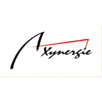 Axynergie logo - Similar company to Opentransition