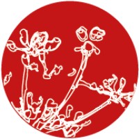 Isaq logo - Similar company to Graphisme Et Communication