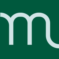 Menelik logo - Similar company to Smavd