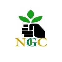 NECT GREEN CODE (NGC) logo - Similar company to Future Of Sourcing