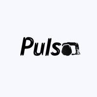 Pulso Company logo - Similar company to Nazca Tex S.A.C.